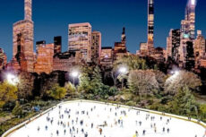 센트럴파크 울먼 아이스링크 (피크시즌)